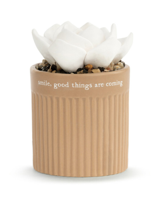 Smile Oil Diffuser Smile Oil Diffuser