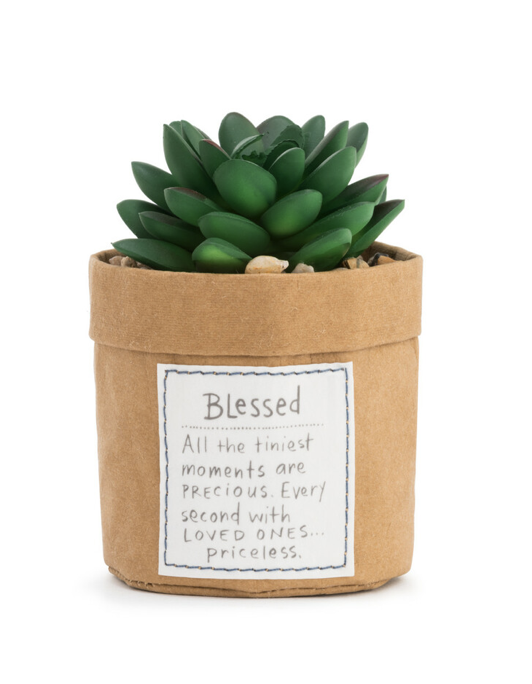 Plant Kindness - Blessed Plant Kindness - Blessed