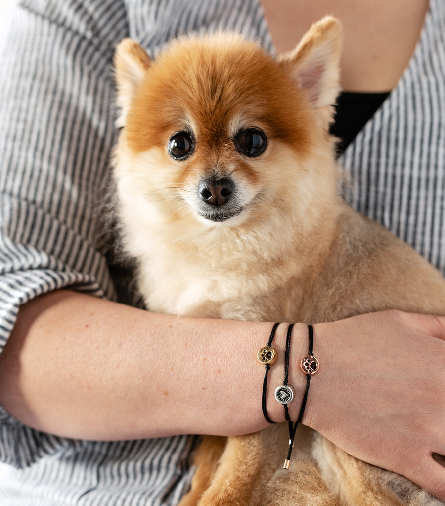 Loving Memories Pet Bracelet - Silver and Gold